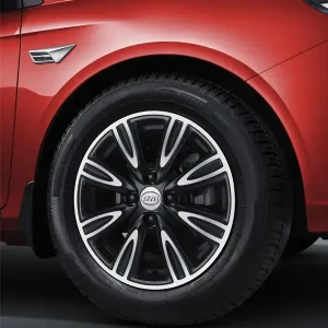 عجلة بى واى دى F3 2022