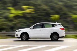 جانب بي واي دي سونج برو 2022