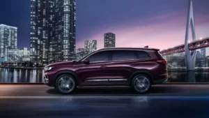 جانب شيري تيجو برو 8 2022