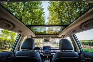 سقف بي واي دي سونج برو 2022