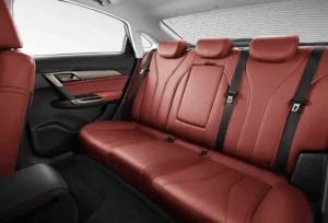 مقاعد بايك D50 2022 الخلفية