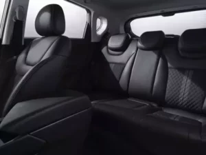 مقاعد بايك X35 2022 الخلفية