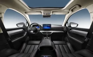 مقصورة بي واي دي تانج 2022