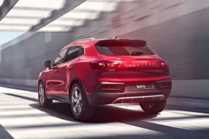 خلفية بورجوارد BX5 2022