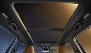 سقف بورجوارد BX7 TS 2022