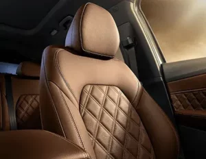 مقاعد بورجوارد BX7 TS 2022