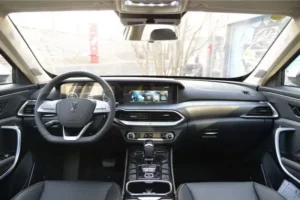 مقصورة بيستون T77 2022