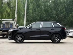 جانب بيستون T55 2022