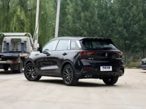 خلفية بيستون T55 2022