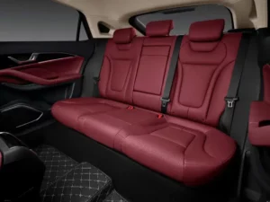 مقاعد بيستون B70 2022 الخلفية