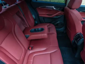 مقاعد بيستون B70 2022 الخلفية