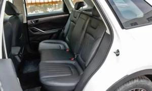 مقاعد بيستون T55 2022 الخلفية