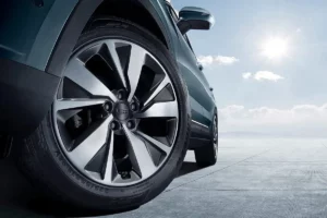 عجلة جيلي أوكافانجو 2023