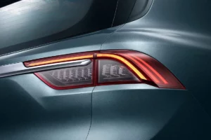 مصابيح جيلي أوكافانجو 2023 الخلفية