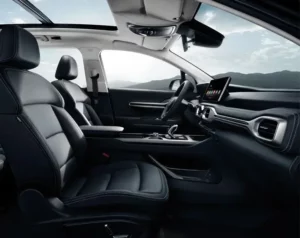 مقاعد جيلي أوكافانجو 2023 الأمامية