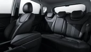 مقاعد بايك X35 2023 الخلفية