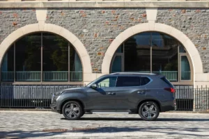 جانب سانج يونج ريكستون 2023