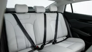 مقاعد دونج فينج A30 2023 الخلفية