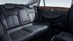 مقاعد دونج فينج A60 ماكس 2023 الخلفية