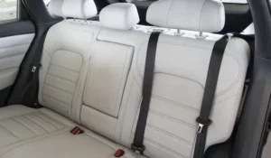 مقاعد دونج فينج فينوتشيا ستار 2023 الخلفية