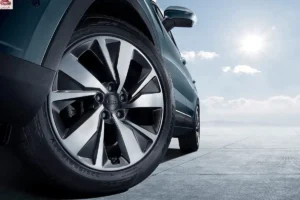 عجلة جيلي أوكافانجو 2024