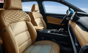 مقاعد جيلي أوكافانجو 2024 الأمامية