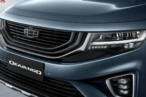 مقدمة جيلي أوكافانجو 2024