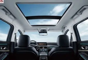 سقف أكسيد TXL 2024