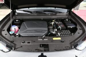 محرك جيتور داشينج 2024