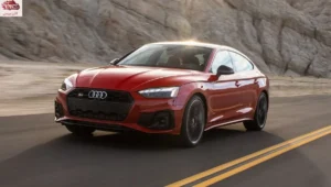 أودي S5 سبورت باك 2024