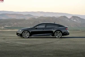 جانب أودي RS5 سبورت باك 2024