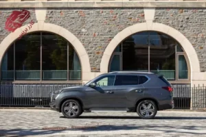 جانب سانج يونج ريكستون 2024