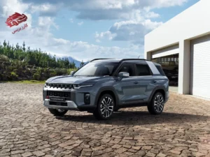 سانج يونج توريس 2024